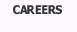 Employment opportunities at !nstinct Marketing